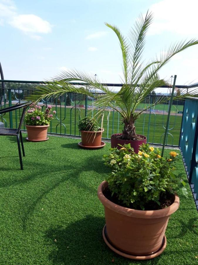 בלאנקנבורג Hotel Zum Sportforum מראה חיצוני תמונה